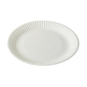 White Paper Plates