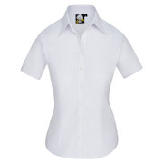 Ladies Classic Oxford Short Sleeve Blouse