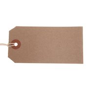 ValueX Reinforced Strung Tag 96x48mm Buff (Pack 1000) T257775