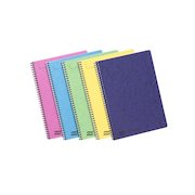 Europa Notebook Sidebound Twin Wire 90gsm Ruled Micro Perf 120pp A4 Assortd Colours C