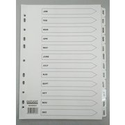 ValueX Index Jan-Dec A4 Card White with White Mylar Tabs