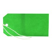 Strung Tag 120x60mm Green (1000 Pack) KF01624