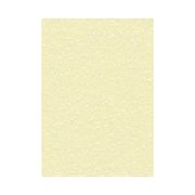 Decadry Parchment Letterhead A4 Paper 95gsm Champagne (100 Pack) PCL1601