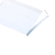 Rexel Crystalfile Lateral 275 Tab Inserts White (50 Pack) 78370