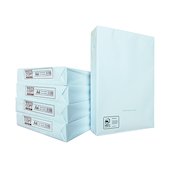 White Copier A4 Paper (2500 Pack)