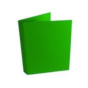 Green A4 2-Ring Ring Binder (10 Pack) WX02008