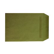 C5 Envelope 75gsm Self Seal Manilla (500 Pack) WX3516