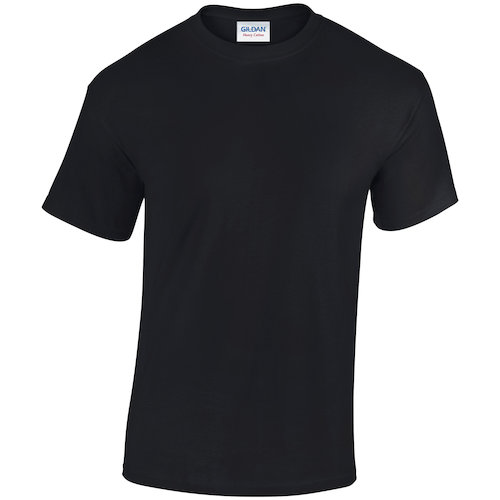 GD005 Heavy Cotton™ Mens T Shirt (805540)