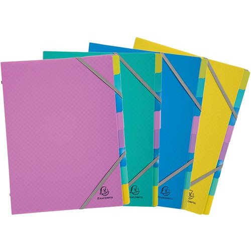 Forever Young 3 Flap Multi Part File PP 8 Part A4 Assorted (Pack 4) 56190E (13581EX)