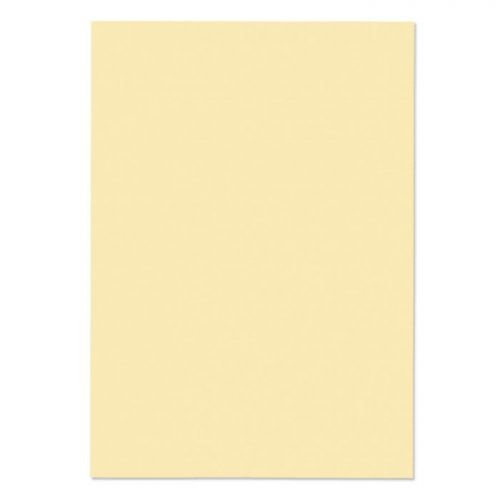 Blake Premium Business Paper (14036BL)