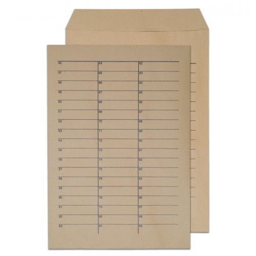 Blake Everyday Envelopes Pocket Ungummed Internal Mail (40198BL)