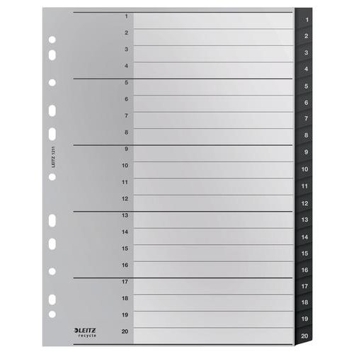 Leitz Recycled Polypropylene Index 1 20 A4 12110000 (55514AC)