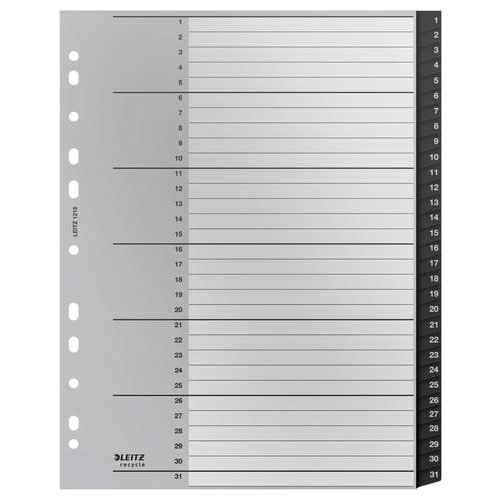 Leitz Recycled Polypropylene Index 1 31 A4 12180000 (55521AC)