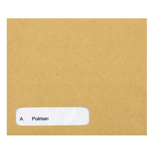 Sage Compatible Wage Envelope Self Seal (57072CF)
