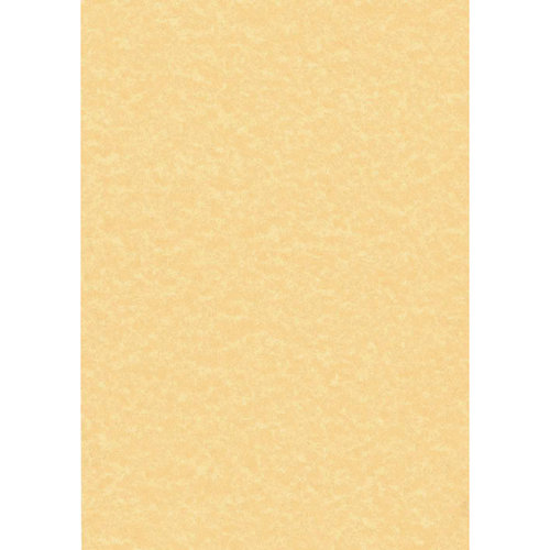 Decadry Parchment Letterhead A4 Paper 95gsm Gold (100 Pack) PCL1600 (LX13497)